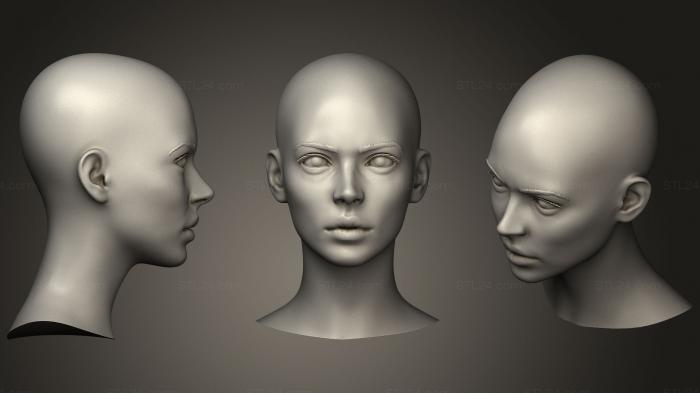 Anatomy of skeletons and skulls (Female Head 10, ANTM_0506) 3D models for cnc